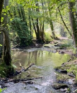 »Wieder ins Leben finden – Ein Retreat für erschöpfte Seelen« 24.06.-28.06.2026