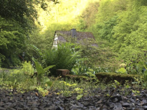 IMG_5737-scaled-e1622189240595