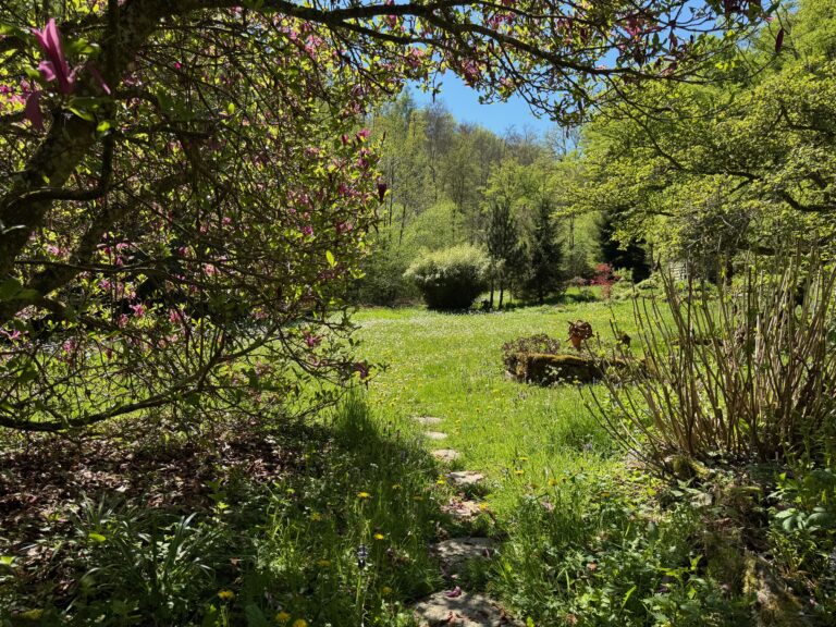 Zen & Innere Arbeit