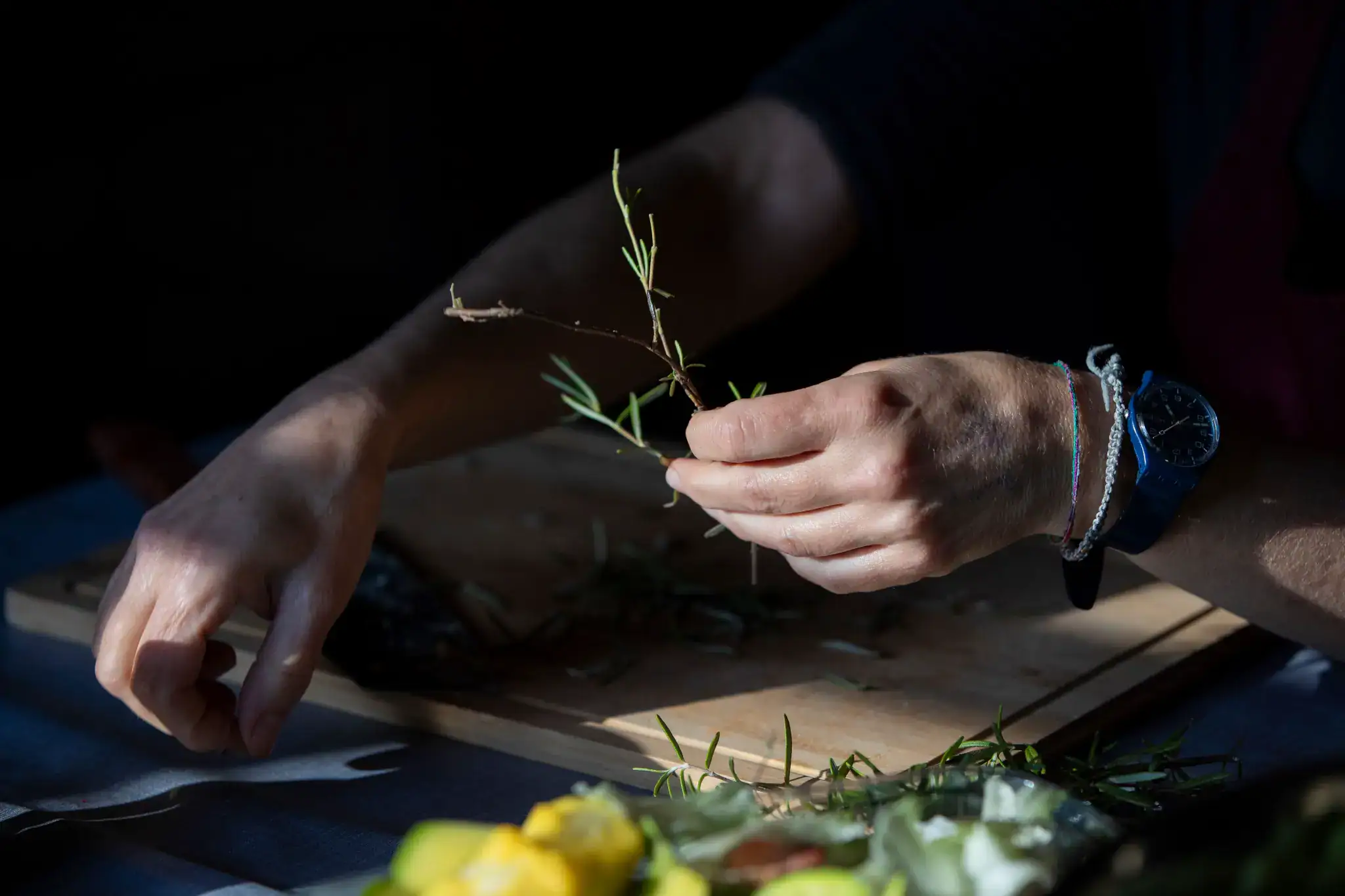 Rosmarin – Kräuter aus dem Garten