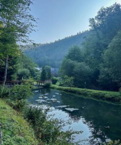 Mühle Teich