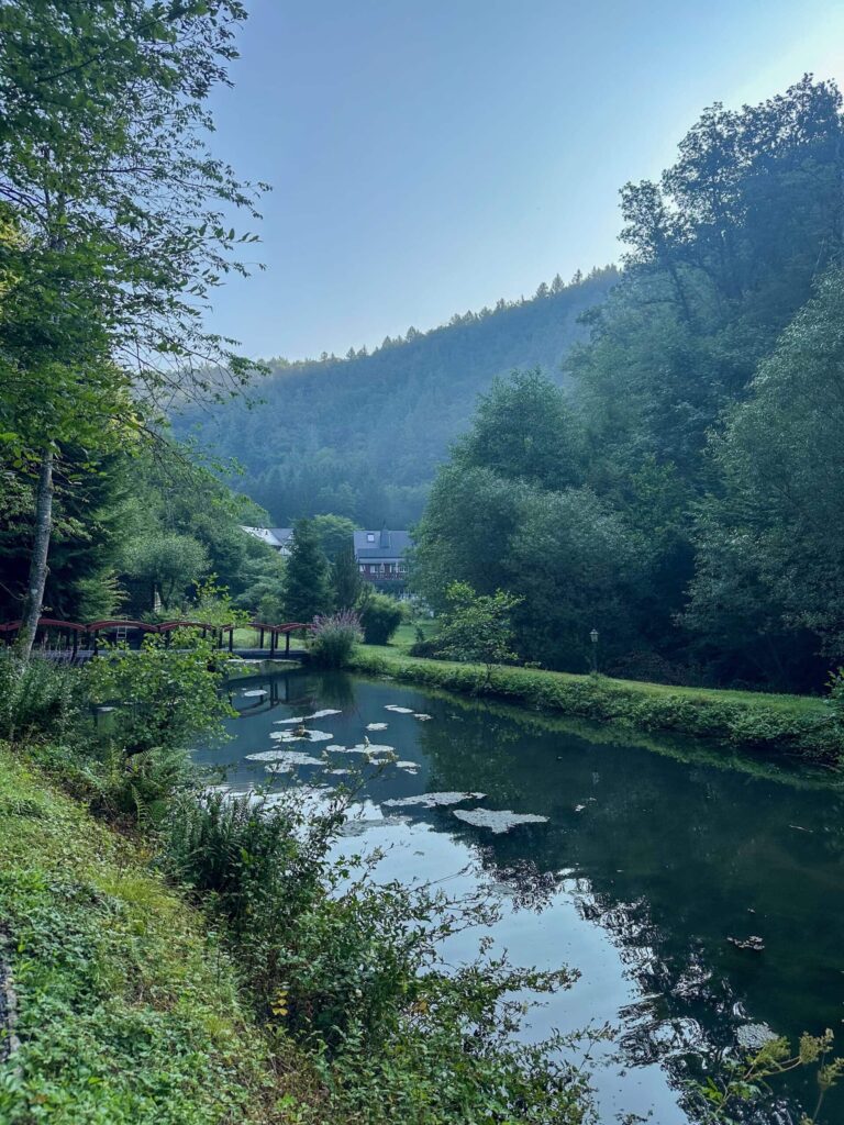 Zen-Retreat für Frauen
