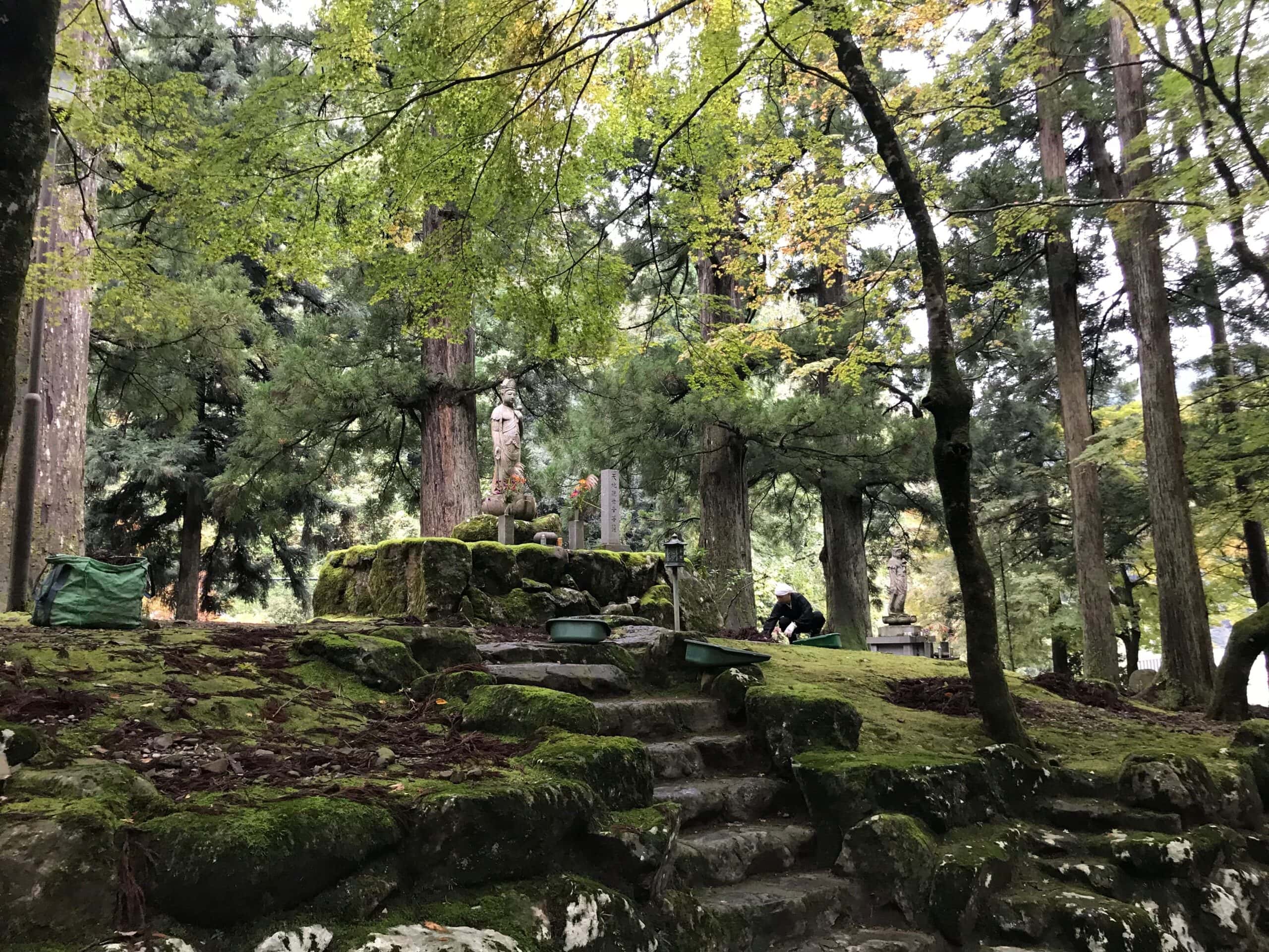 EIHEIJI Garten