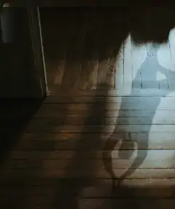Schatten einer Person fällt durch eine offene Tür auf alte Holzdielen