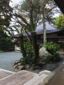 Rinso-in Tempel, Japan