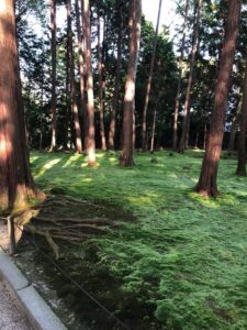 Tempelgarten in Japan