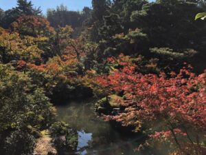 Tempelgarten in Japan