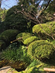 Tempelgarten in Japan