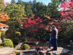 Tempelgarten in Japan