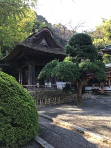 Tempelgarten in Japan