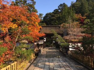 Tempelgarten in Japan