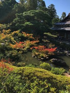 Tempelgarten in Japan