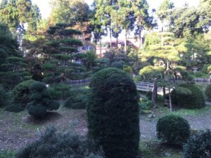 Tempelgarten in Japan