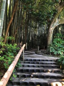 Tempelgarten in Japan