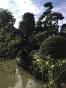 Tempelgarten in Japan