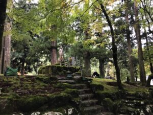 Tempelgarten in Japan