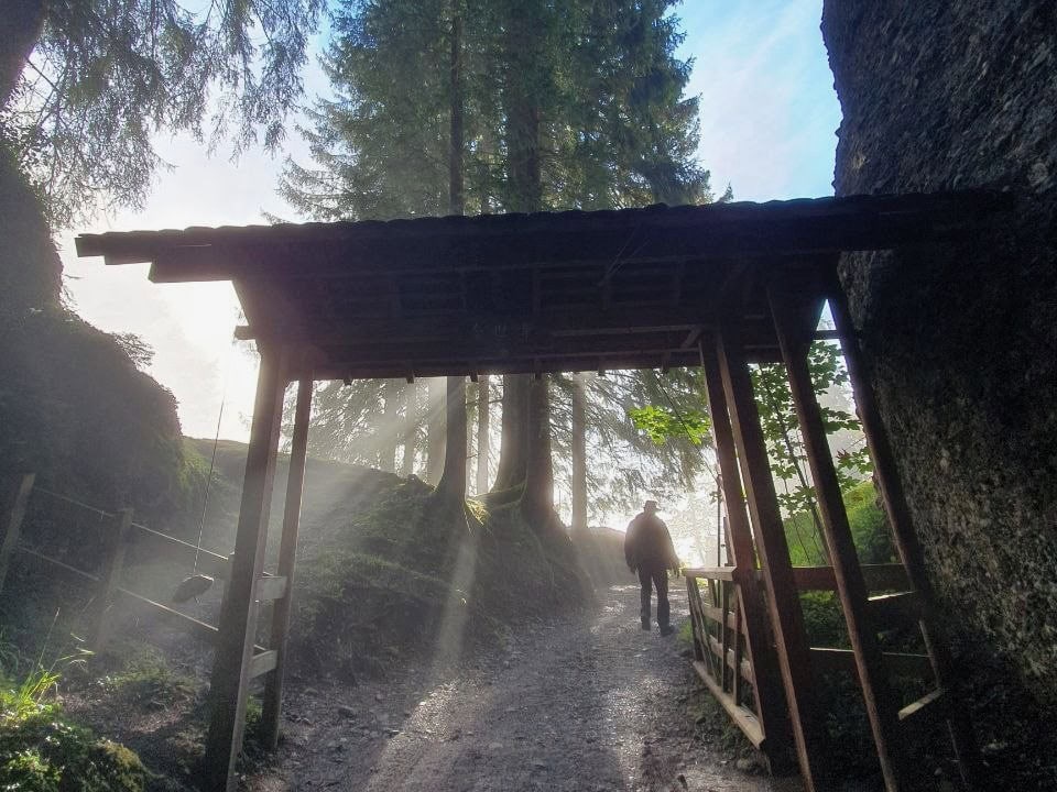 Ein überdachtes Holztor steht über einem schmalen Waldweg, am frühen Morgen fallen Sonnenstrahlen durch den Nebel zwischen die Tannen, in einiger Entfernung geht ein Mensch hindurch.